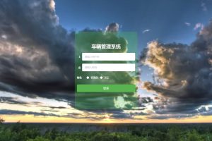 计算机毕业设计-基于SpringBoot的车辆管理系统（程序+万字论文+PPT）
